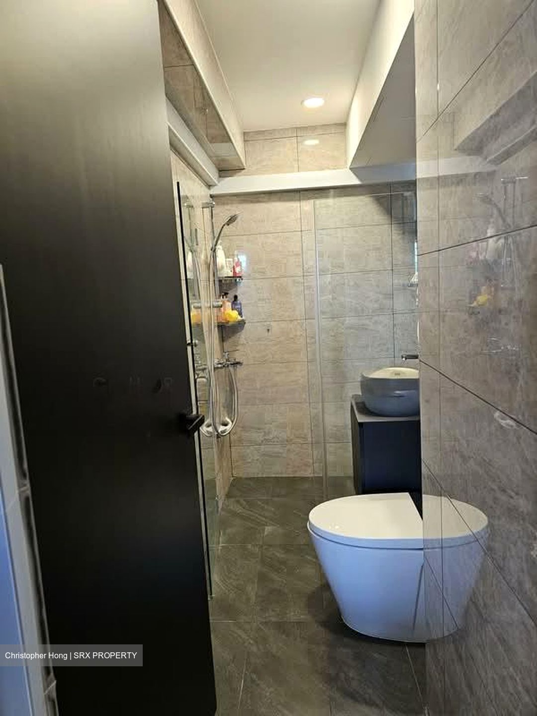 Melville Park (D18), Condominium #585175041